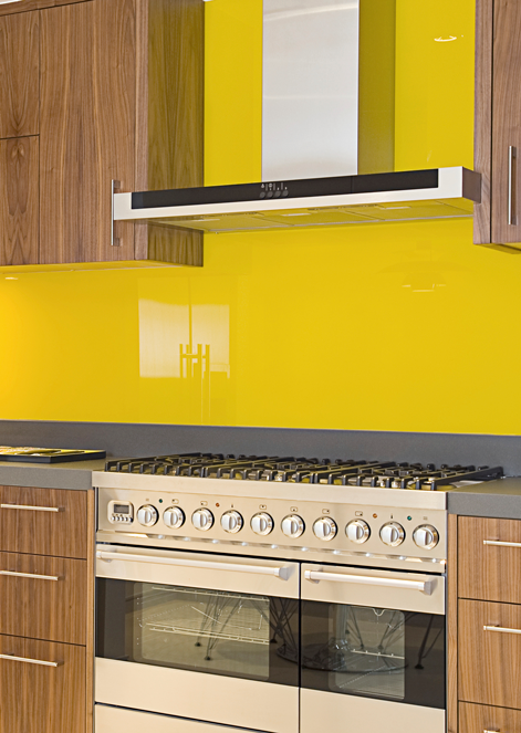 Stainless Steel Cleaner & Polish - 16 fl. oz.